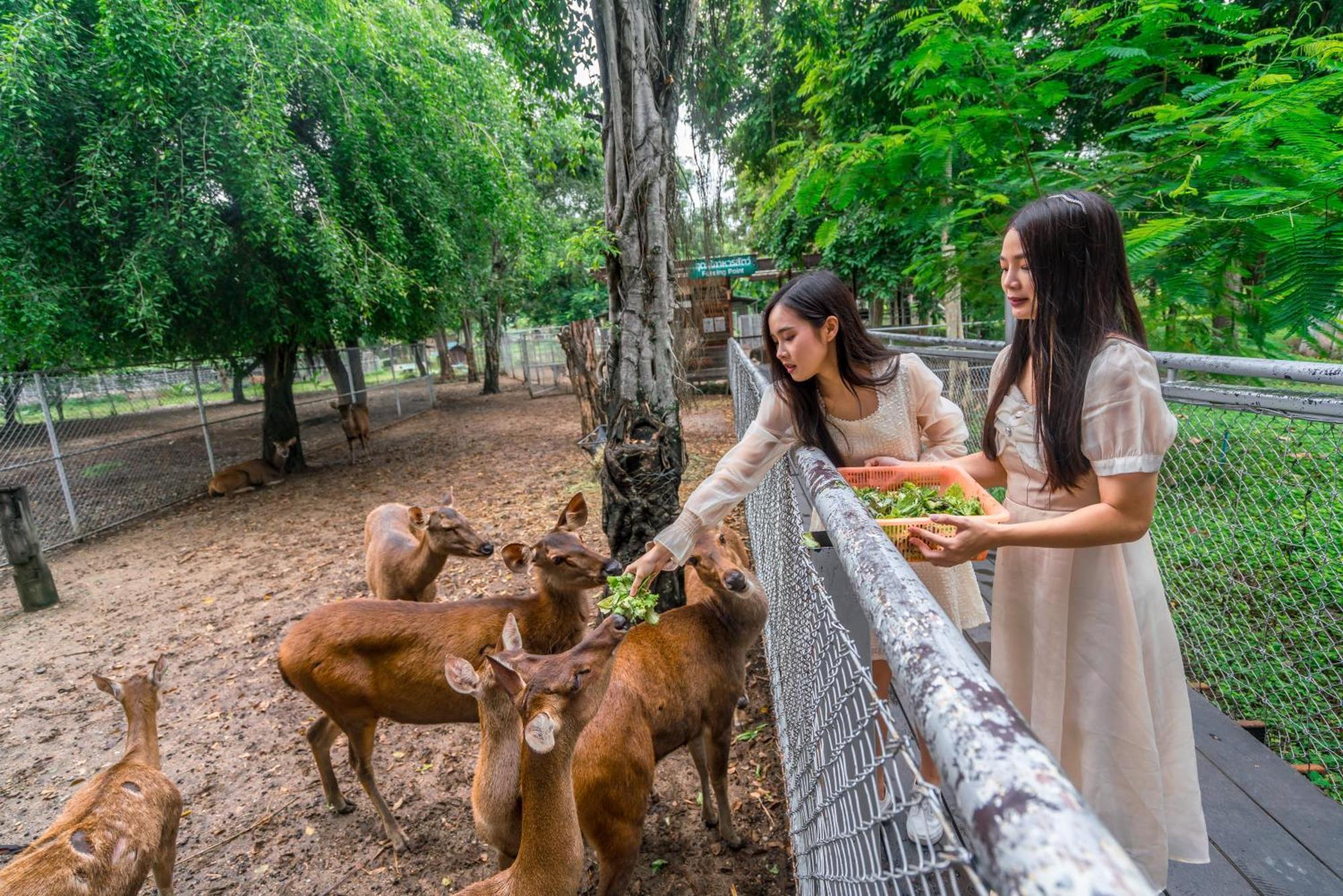 Horizon Village & Resort Doi Saket Extérieur photo