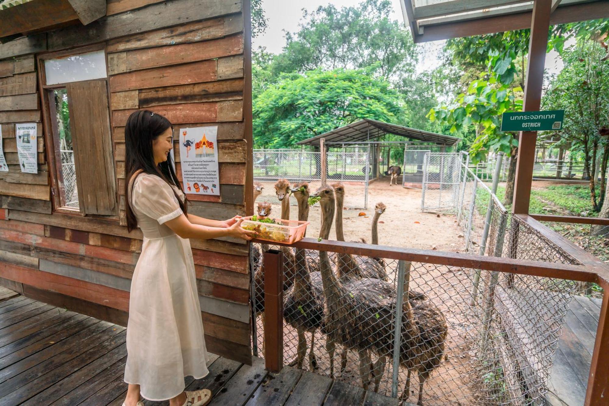 Horizon Village & Resort Doi Saket Extérieur photo